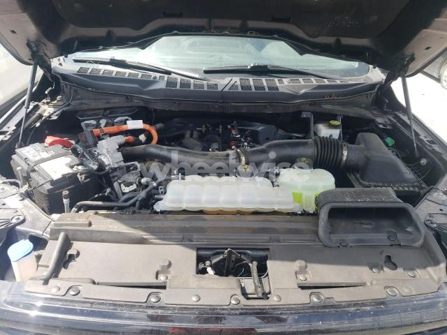 2024 FORD F150 XLT
