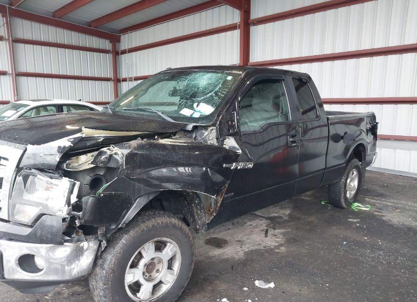 Thumbnail 13 of 2014 FORD F-150 XLT