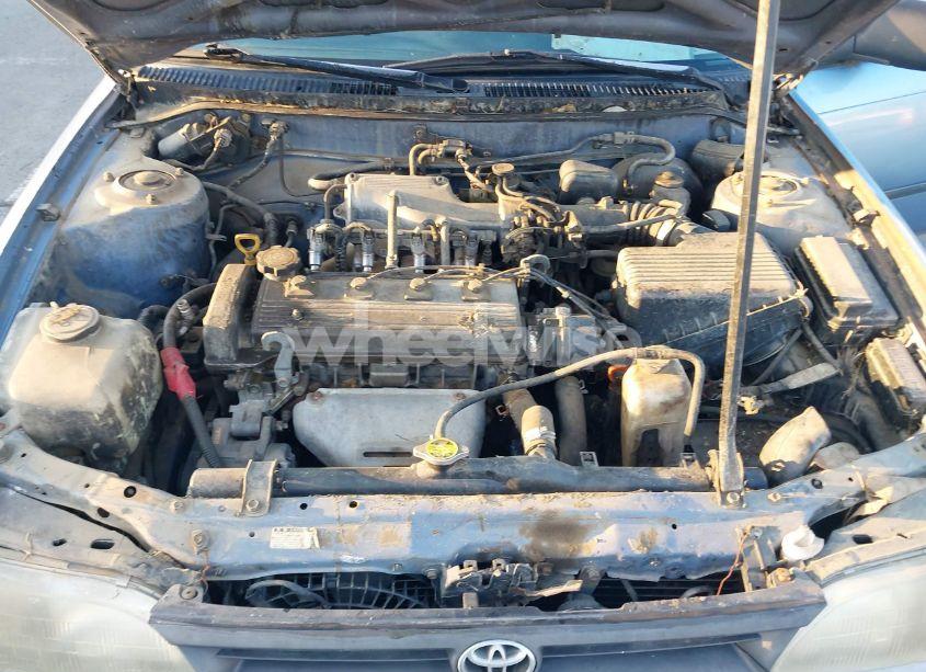 1995 Toyota Corolla