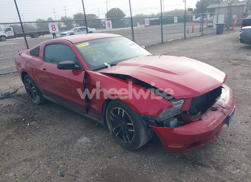 Photo of FORD MUSTANG V6