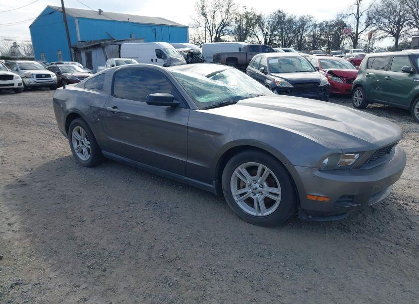 Photo of FORD MUSTANG V6