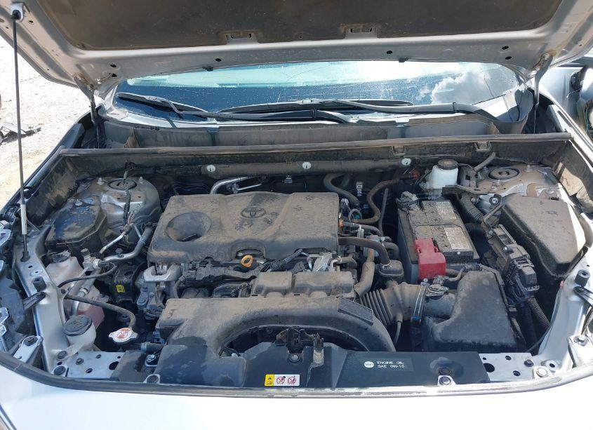 Thumbnail 2 of 2020 TOYOTA RAV4 XLE