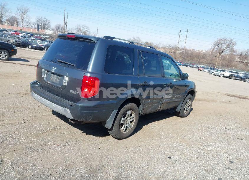 Thumbnail 6 of 2005 HONDA PILOT EX-L