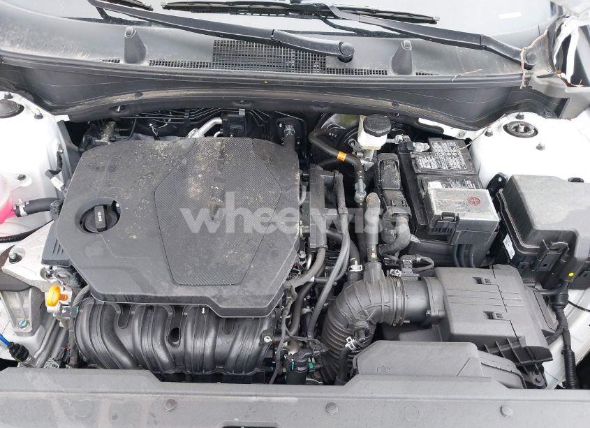 Thumbnail 2 of 2024 KIA SPORTAGE EX