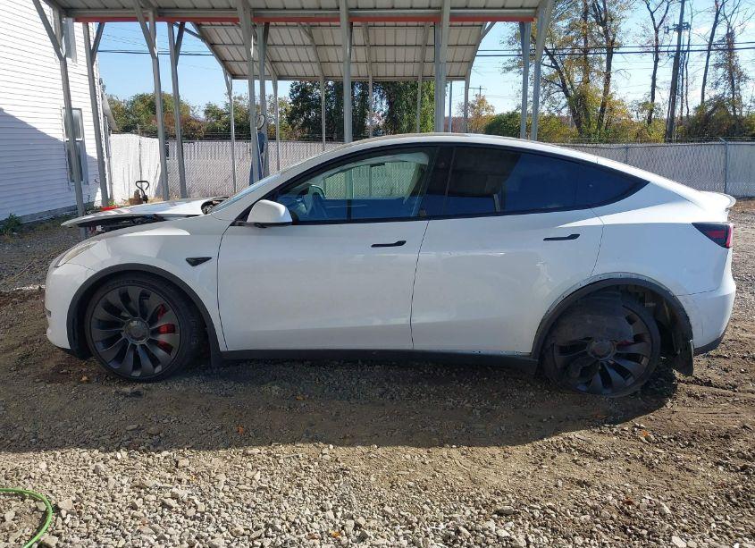Thumbnail 6 of 2024 TESLA MODEL Y PERFORMANCE DUAL MOTOR ALL-WHEEL DRIVE