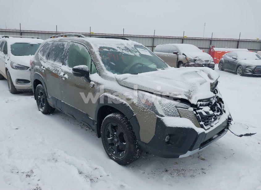 Photo of SUBARU FORESTER WILDERNESS