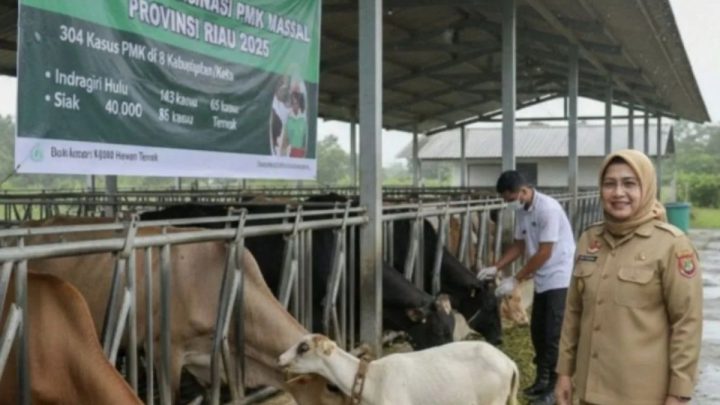 Dinas PKH Riau catat 758 kasus PMK selama Januari-Mei 2026