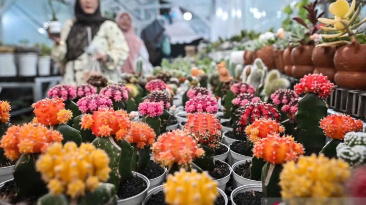 Berakhir pekan di Jakarta ada pameran Flona hingga “Maen”
