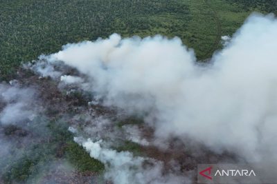 Rusia operasikan pesawat amfibi bantu padamkan karhutla di Turki
