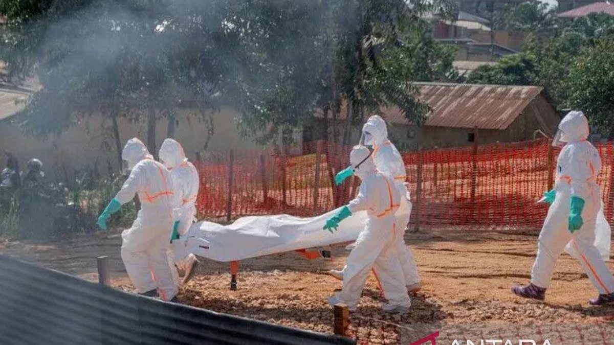 Kasus Ebola di Kongo meningkat jadi 6.604 kasus