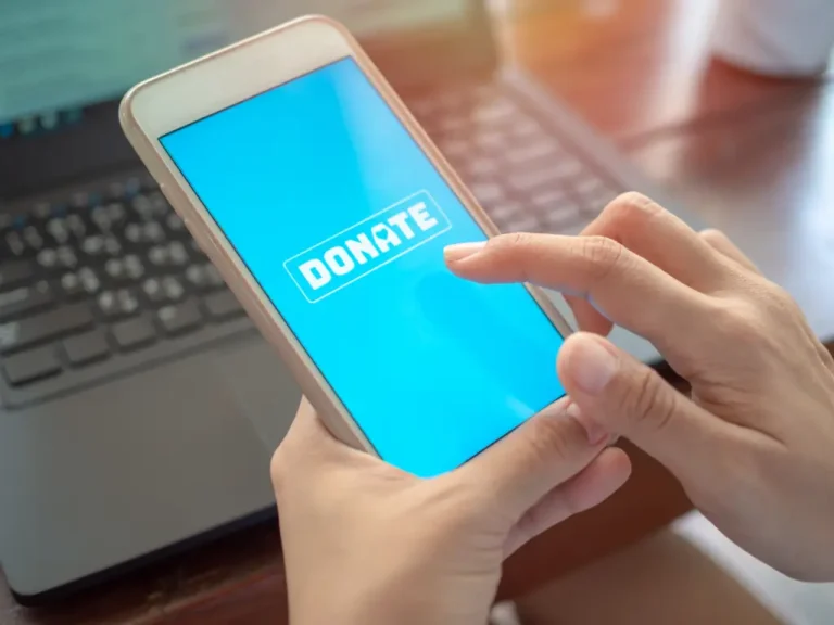 Pengertian Donasi Online