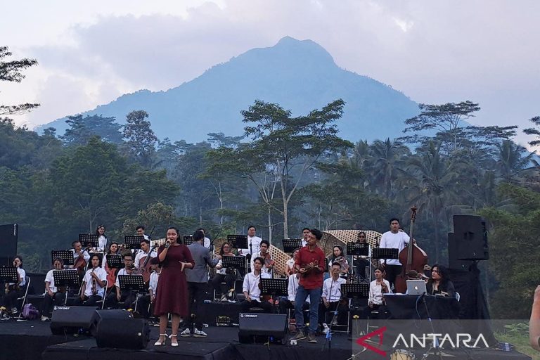 14festival-suar