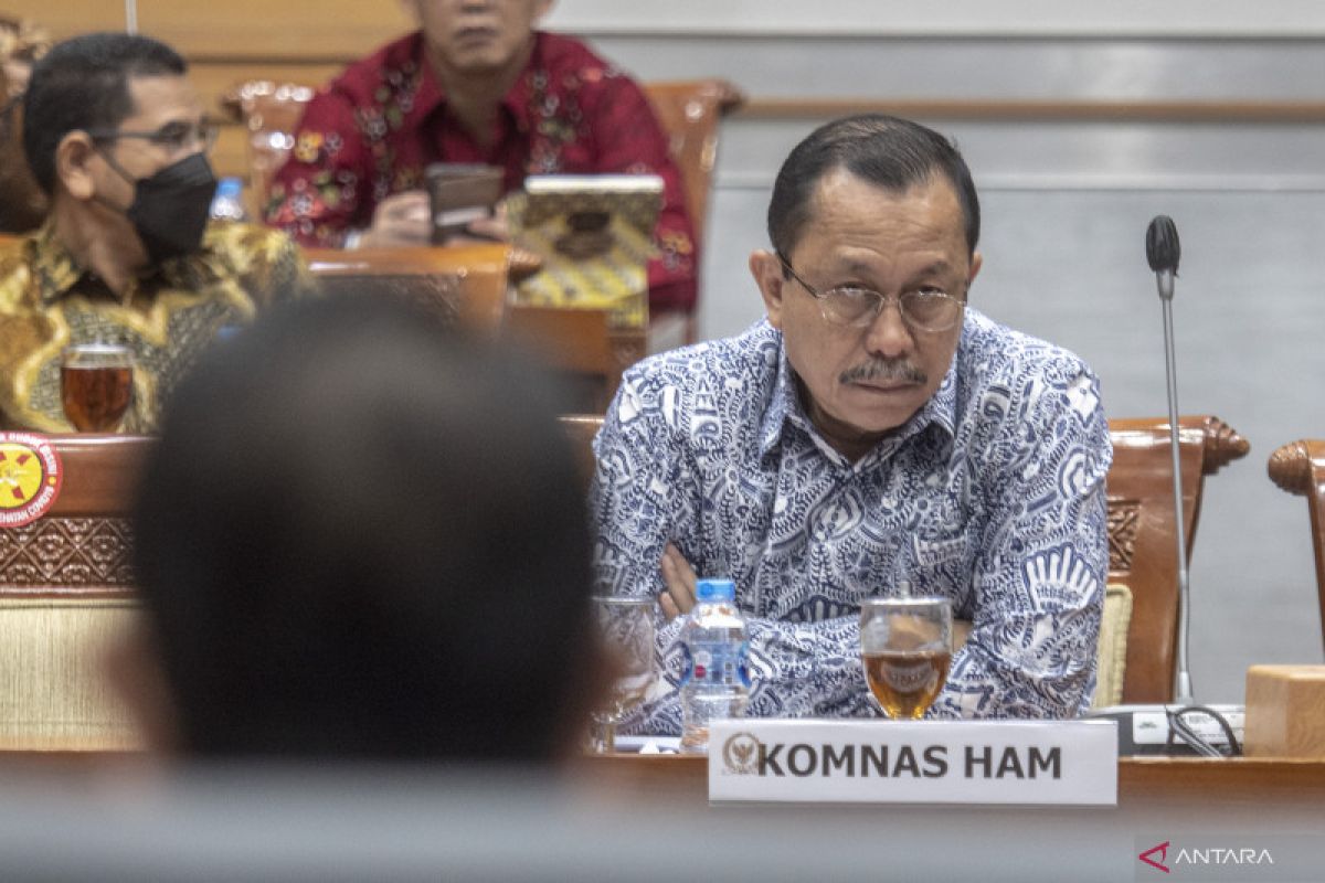 Eks Ketua Komnas HAM nilai RUU HAM jawab tantangan zaman