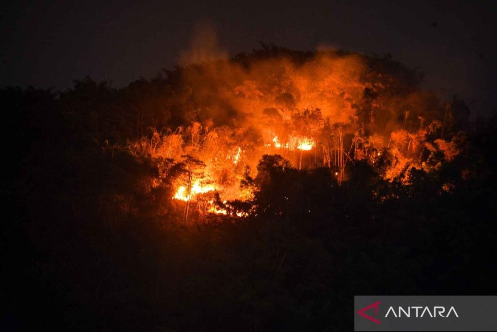 Kebakaran-Hutan-Di-Gunung-Jati-270726-rai-5