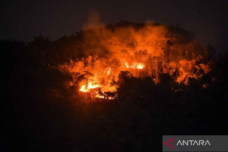 Kebakaran-Hutan-Di-Gunung-Jati-270726-rai-5