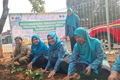 Jakbar canangkan gerakan tanam pangan pendamping beras di 135 lokasi