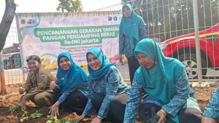 Jakbar canangkan gerakan tanam pangan pendamping beras di 135 lokasi