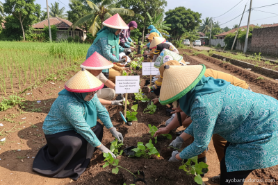 Pemkot Jaktim tanam 417 bibit pangan pendamping beras di Ciracas